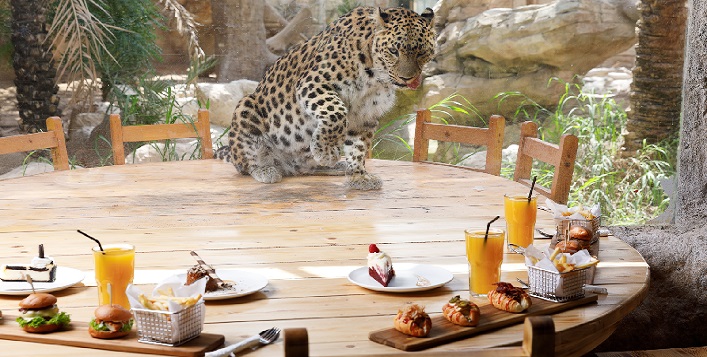Emirates Park Zoo Abu Dhabi